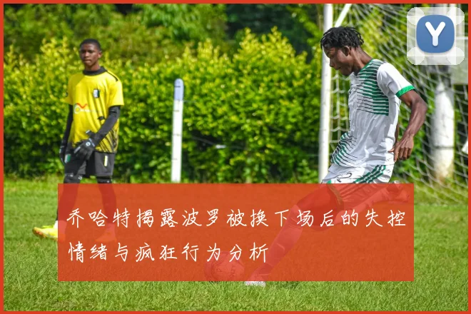 乔哈特揭露波罗被换下场后的失控情绪与疯狂行为分析