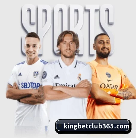 king体育 APP